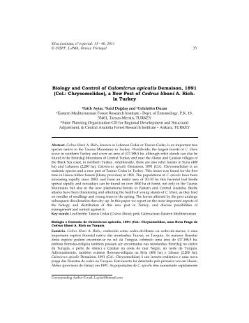 Biology and Control of Calomicrus apicalis Demaison, 1891 - SciELO