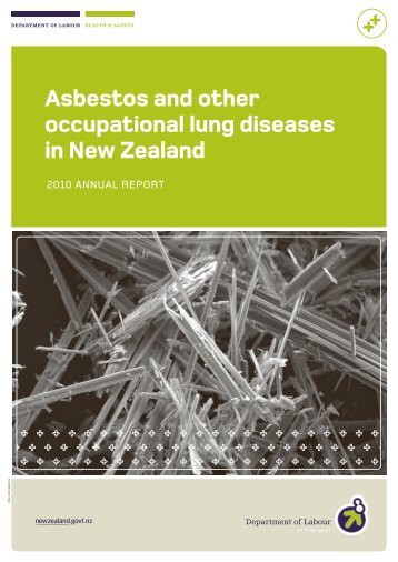 Asbestos and other occupational lung diseases ... - Business.govt.nz