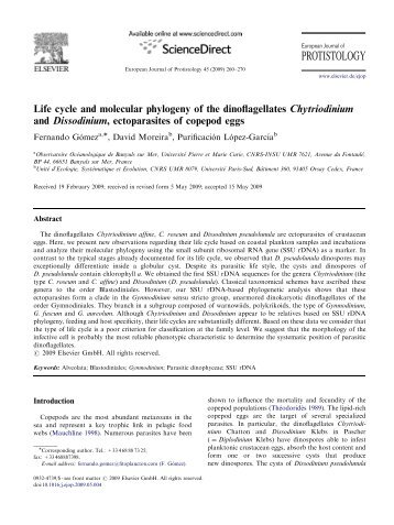 Life cycle and molecular phylogeny of the dinoflagellates Chytriodinium and Dissodinium, ectoparasites of copepod eggs