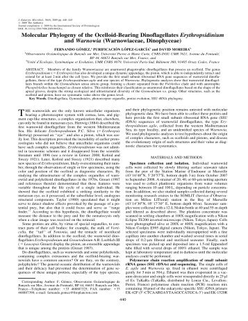 Molecular Phylogeny of the Ocelloid-Bearing Dinoflagellates Erythropsidinium and Warnowia (Warnowiaceae, Dinophyceae)