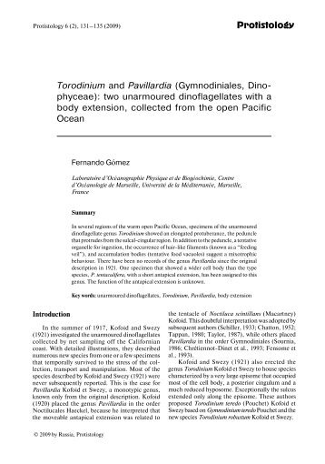 Torodinium and Pavillardia (Gymnodiniales, Dinophyceae): two unarmoured dinoflagellates with a body extension, collected from the open Pacific Ocean