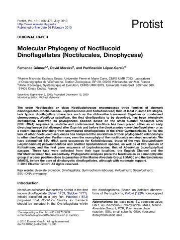 Molecular Phylogeny of Noctilucoid Dinoflagellates (Noctilucales, Dinophyceae)