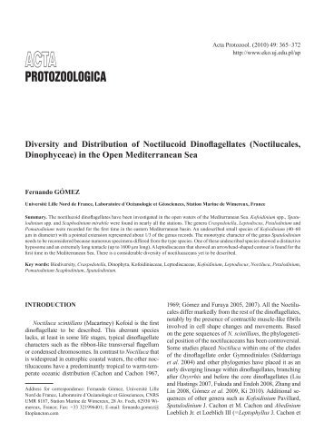 Diversity and Distribution of Noctilucoid Dinoflagellates (Noctilucales,Dinophyceae) in the Open Mediterranean Sea