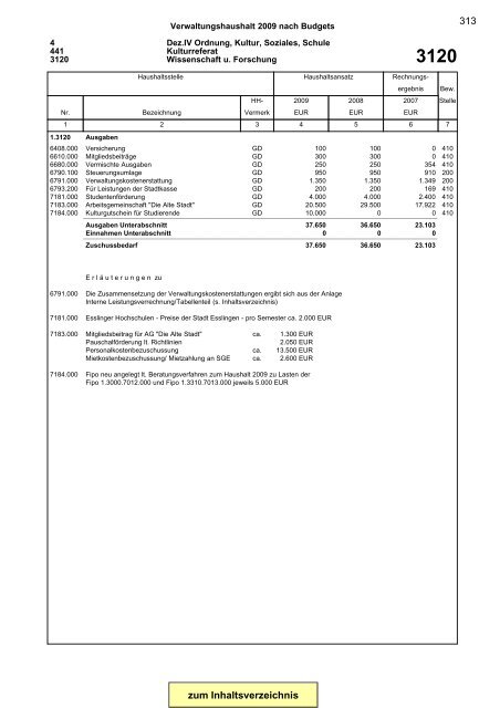 Gesamtplan Zusammenstellung der Einnahmen und ... - Esslingen