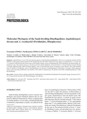 Molecular Phylogeny of the Sand-dwelling Dinoflagellates Amphidiniopsis hirsuta and A. swedmarkii (Peridiniales, Dinophyceae)
