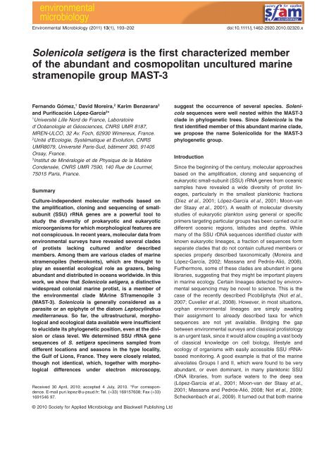 Solenicola setigera is the first characterized memberof the abundant and cosmopolitan uncultured marine stramenopile group MAST-3