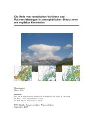 Die Rolle von numerischen Verfahren und Parametrisierungen in ...