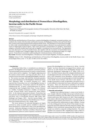 Morphology and distribution of Pronoctiluca (Dinoflagellata,incertae sedis) in the Pacific Ocean