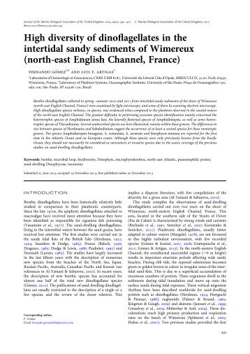 High diversity of dinoflagellates in the intertidal sandy sediments of Wimereux (north-east English Channel, France)