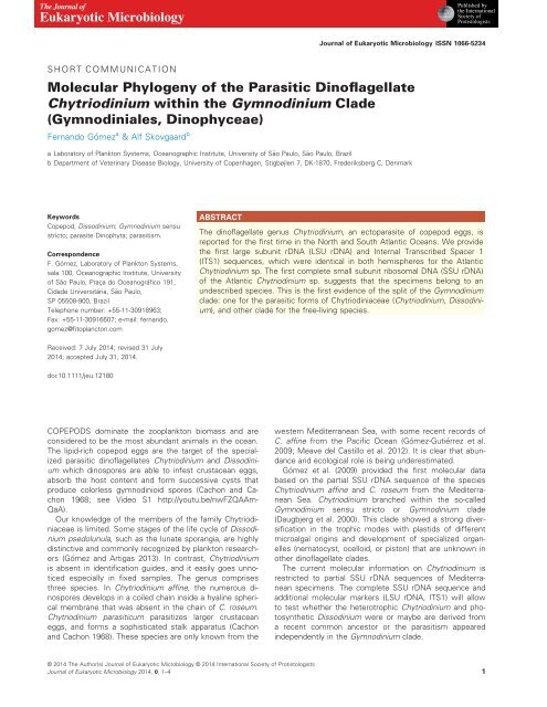 Molecular Phylogeny of the Parasitic Dinoflagellate Chytriodinium within the Gymnodinium Clade (Gymnodiniales, Dinophyceae)