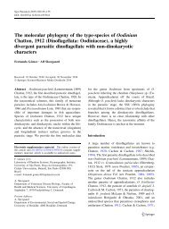 The molecular phylogeny of the type-species of Oodinium Chatton, 1912 (Dinoflagellata: Oodiniaceae), a highly divergent parasitic dinoflagellate with non-dinokaryotic characters