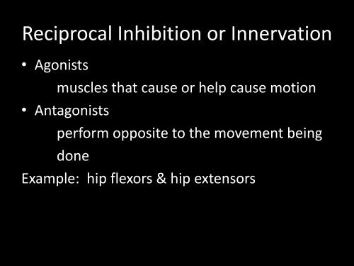 Muscular System