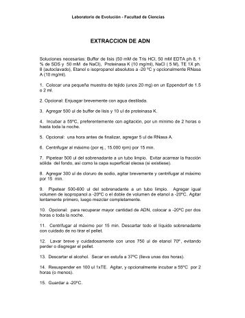 extraccion de adn - Laboratorio de EvoluciÃ³n - Facultad de Ciencias