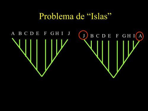 C - Facultad de Ciencias