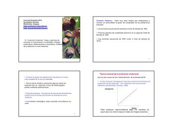 TeorÃ­a neutral de la evoluciÃ³n molecular - Facultad de Ciencias