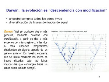 Charla preparatoria del Taller sobre anÃ¡lisis filogenÃ©tico.