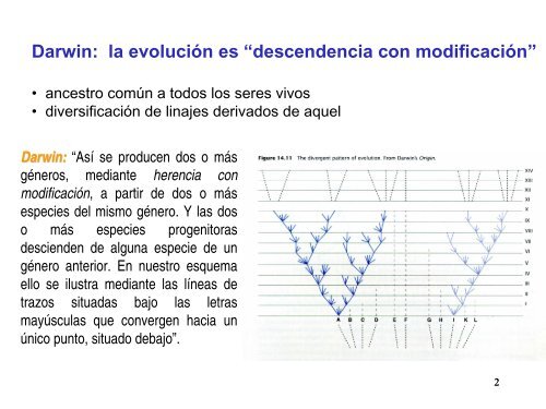 Charla preparatoria del Taller sobre anÃ¡lisis filogenÃ©tico.