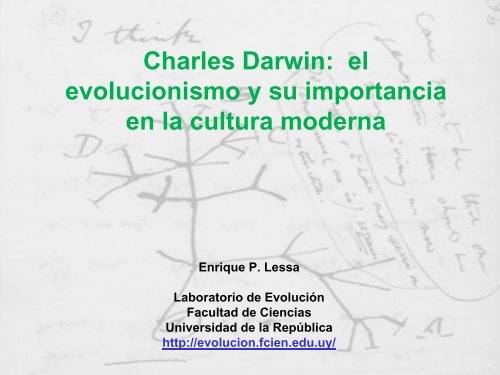 Charles Darwin: el evolucionismo y su importancia en la cultura ...