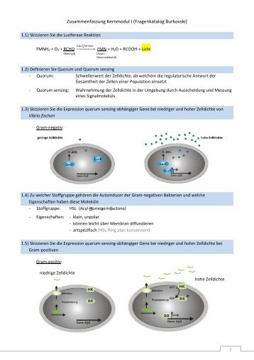 Zusammenfassung Kernmodul I (Fragenkatalog Burkovski)