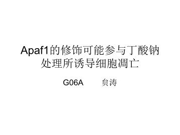 Apaf1的修饰可能参与丁酸钠处理所诱导细胞凋亡 - abc