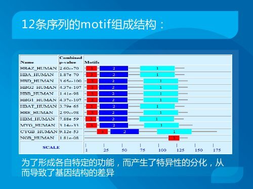 生物信息学初探 - abc