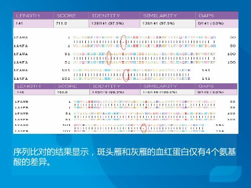 生物信息学初探 - abc