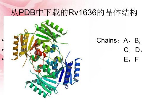 结核分枝杆菌Rv1636蛋白的生物信息学分析 - abc