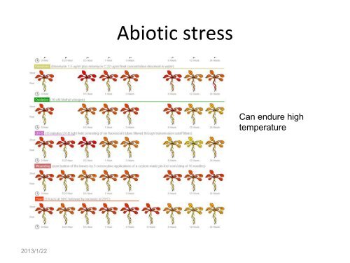 小麦ERF类转录因子生物信息学分析 - abc