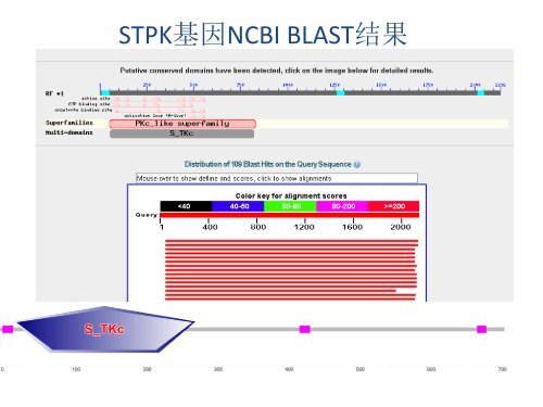 小麦ERF类转录因子生物信息学分析 - abc