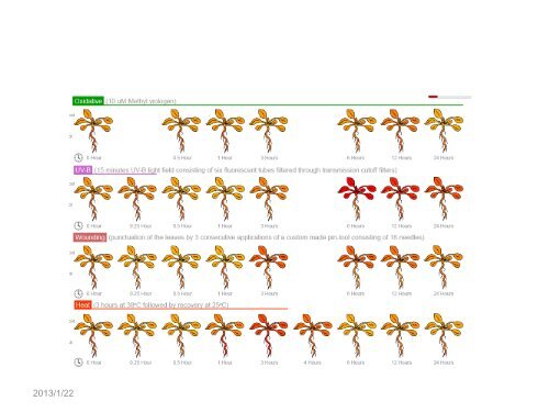 小麦ERF类转录因子生物信息学分析 - abc