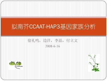 拟南芥CCAAT-HAP3基因家族分析 - abc