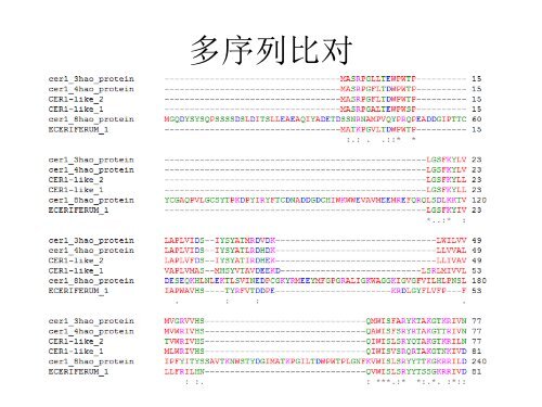 甘蓝cer1同源基因预测及分析 - abc