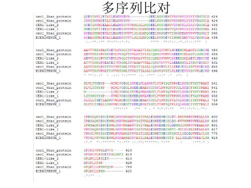 甘蓝cer1同源基因预测及分析 - abc