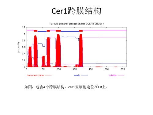 甘蓝cer1同源基因预测及分析 - abc