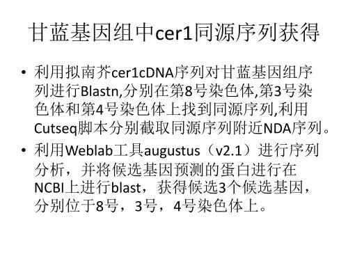 甘蓝cer1同源基因预测及分析 - abc