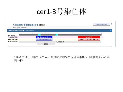 甘蓝cer1同源基因预测及分析 - abc