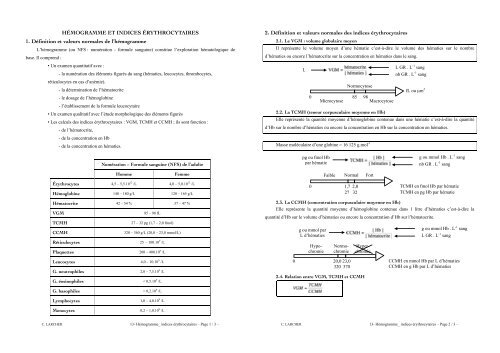HÃ©mogramme et indices Ã©rythrocytaires