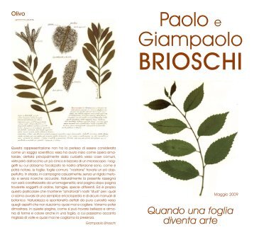 BRIOSCHI - Gruppo Artistico Melzese