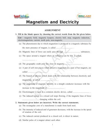 Magnetism and Electricity - Assam Valley School