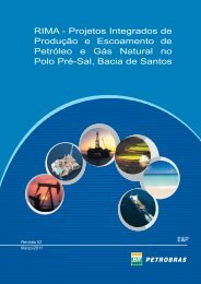 RIMA - Projetos Integrados de ProduÃ§Ã£o e Escoamento de ... - Ibama