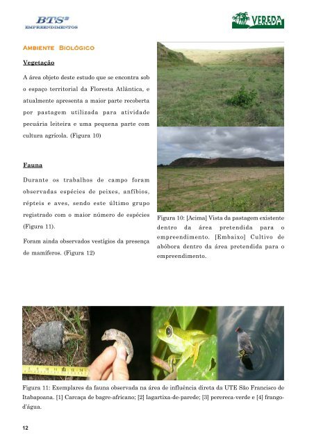 RIMA-UTE_Sao_Francisco_de_Itabapoana.pdf - Firjan