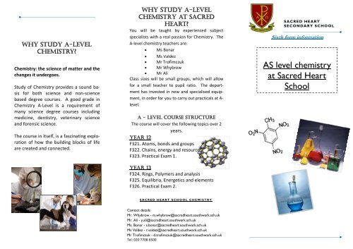 Chemistry @ Sacred Heart Brochure (Read-Only)