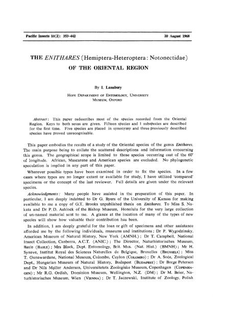 THE ENITHARES (Hemiptera-Heteroptera: Notonectidae) OF THE ...