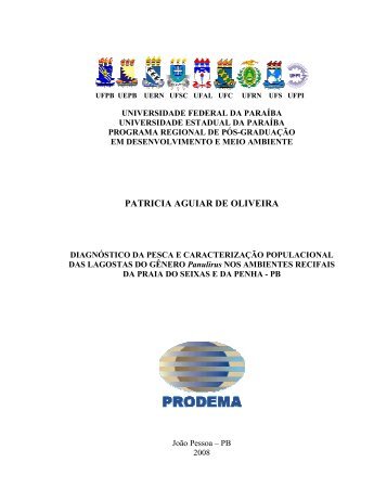 DissertaÃ§Ã£o - PrÃ³-Reitoria de PÃ³s-GraduaÃ§Ã£o e Pesquisa da UFPB