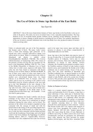 Chapter 11 The Use of Ochre in Stone Age ... - mikroarkeologi.se