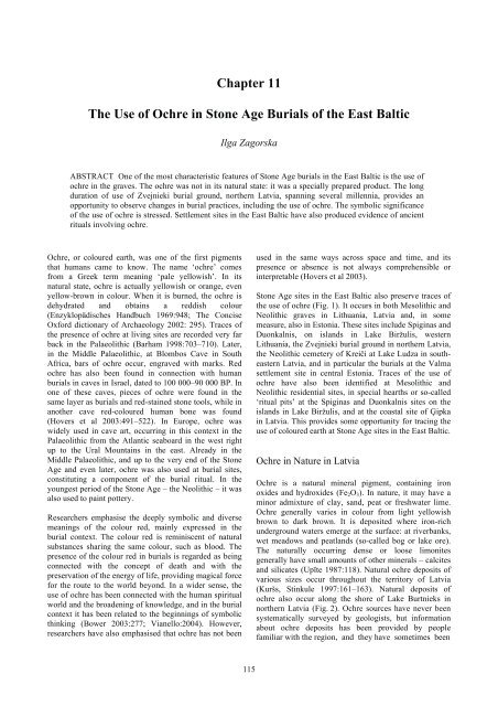 Chapter 11 The Use of Ochre in Stone Age ... - mikroarkeologi.se