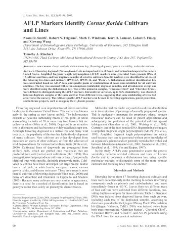 AFLP Markers Identify Cornus florida Cultivars and Lines