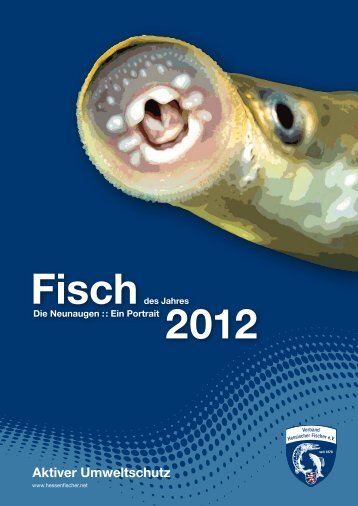 "Die Neunaugen" (pdf) - Verband Hessischer Fischer