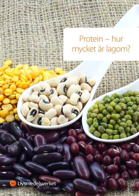 protein---hur-mycket-ar-lagom