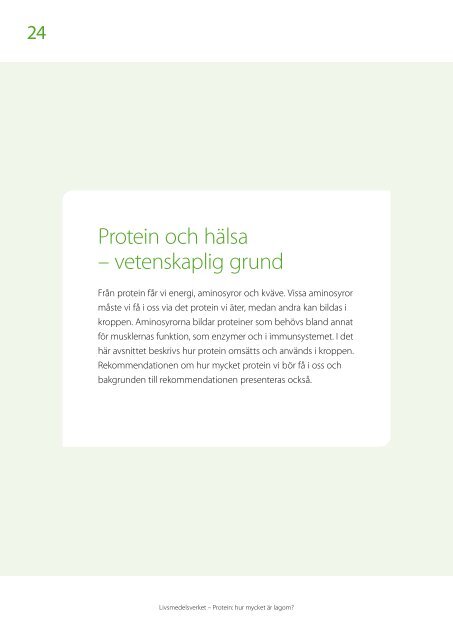 protein---hur-mycket-ar-lagom